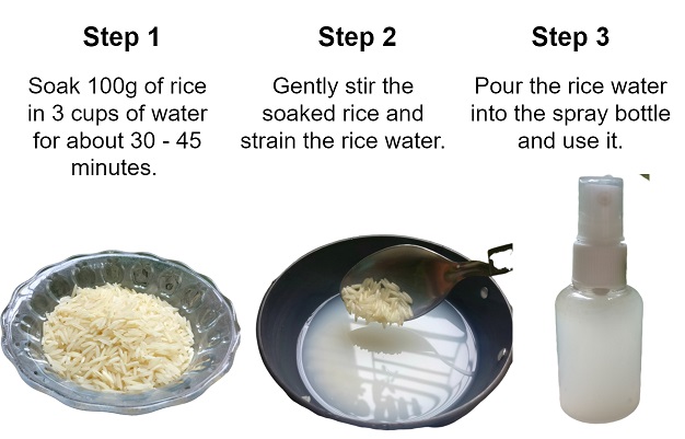 Rice Water Toner for Skin