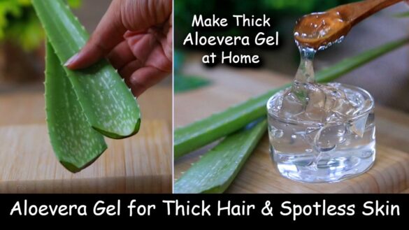 Homemade Aloe vera gel